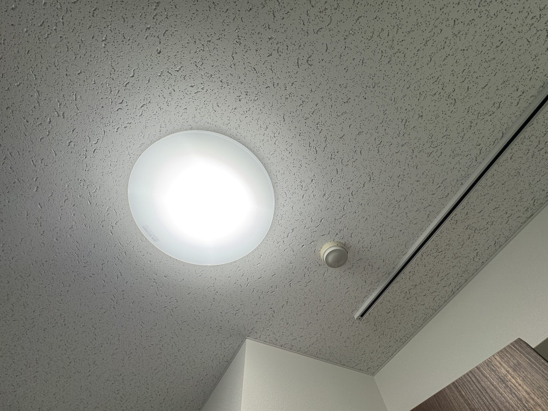 天井の吸音天井板と照明